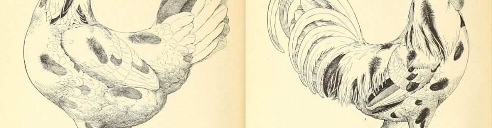 1200_facciamolonoi_gal_puner_01