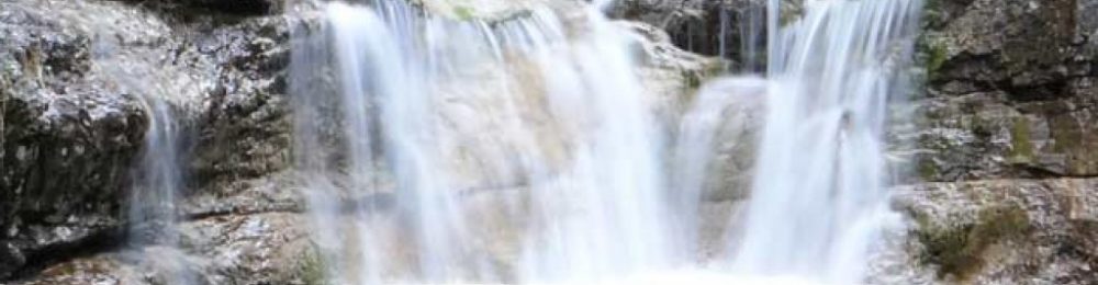 1300_gal_facciamolo_noi_mis-1024x1024