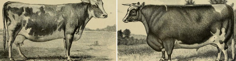 1400_facciamolo_noi_gal_valcarne03