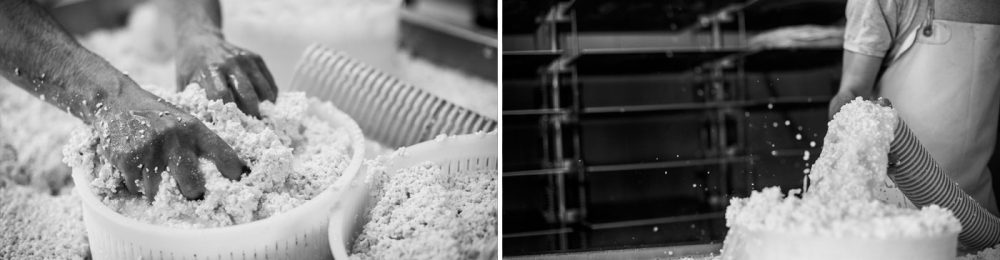 1400_facciamolonoi_gal_latteria_03