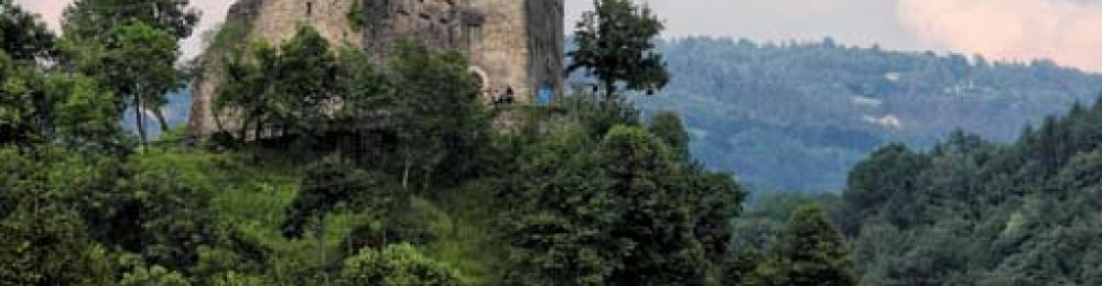 500_gal_facciamolo_noi_zumelle-1024x1024