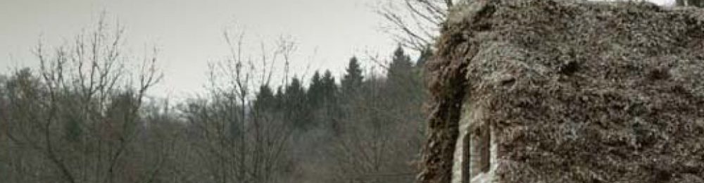 imm_sev_video_03-1024x1024