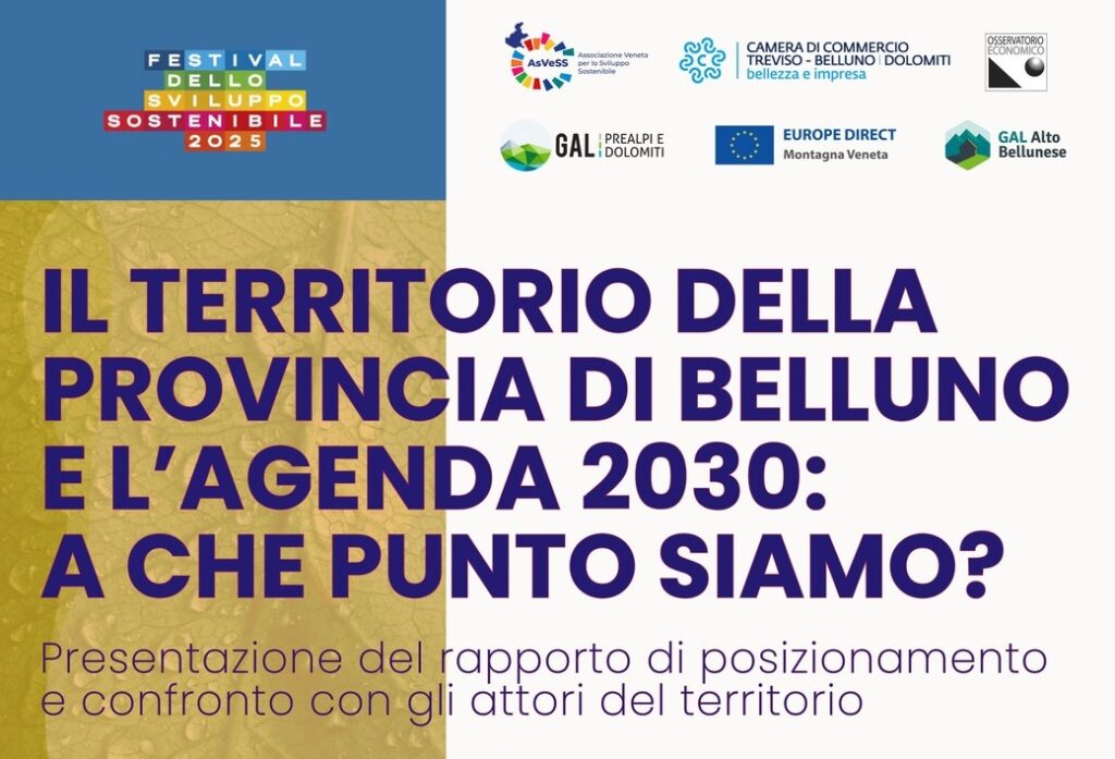 Posizionamento della Provincia di Belluno rispetto agli Obiettivi dell’Agenda 2030: giovedì 22 maggio la presentazione del rapporto e dibattito territoriale - 1