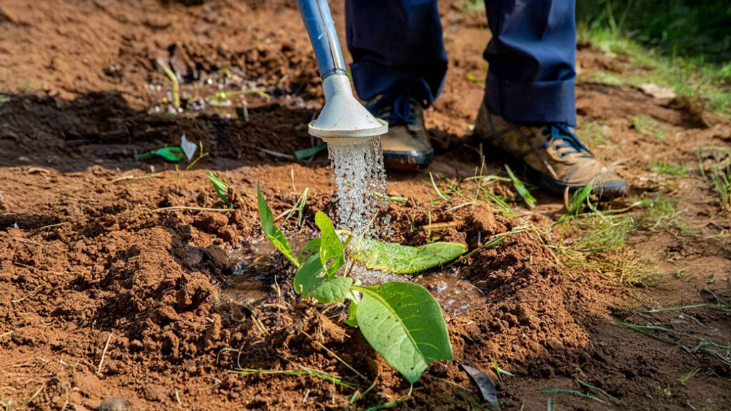 La Commissione semplifica la politica agricola comune per sostenere gli agricoltori e rafforzare la competitività