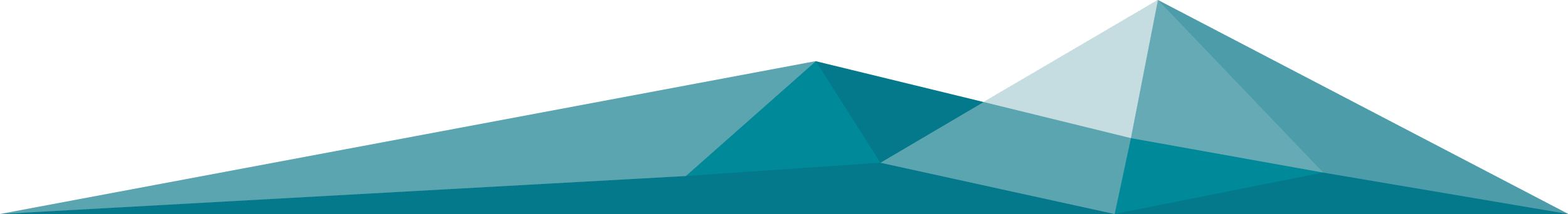 Footer loghi Newsletter