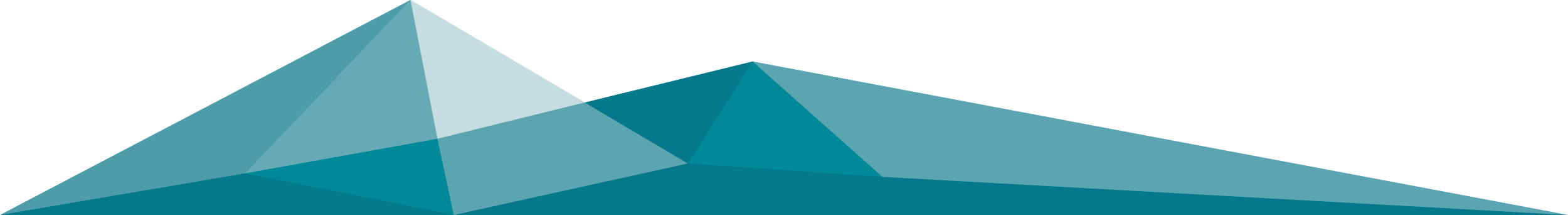 Footer loghi pagine interne