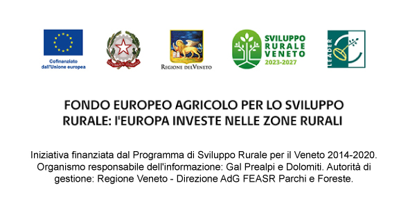 Footer loghi pagine interne