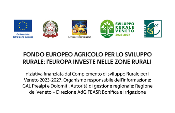 Footer loghi pagine interne