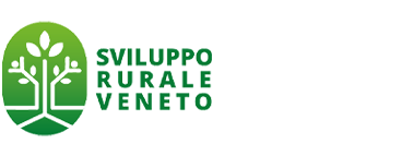 Link e recapiti utili