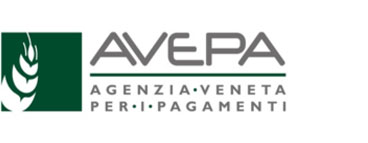 Link e recapiti utili