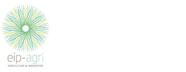 Link e recapiti utili