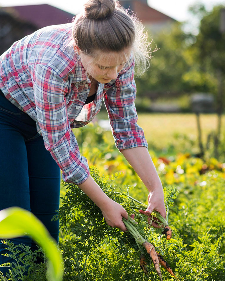 GAL Prealpi e Dolomiti