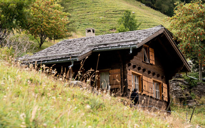 GAL Prealpi e Dolomiti