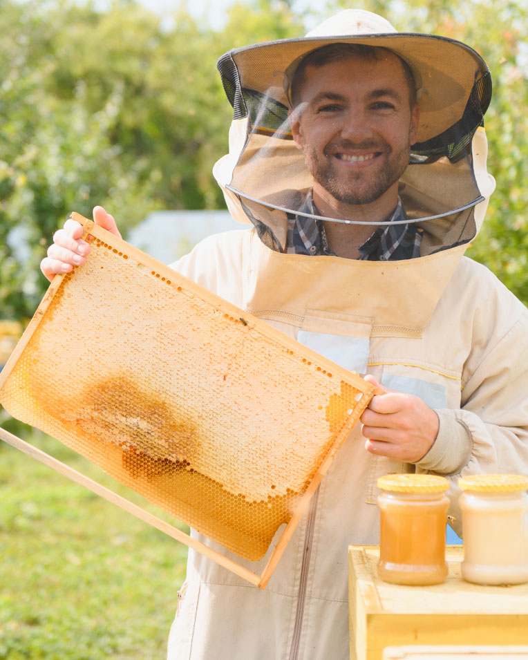 GAL Prealpi e Dolomiti