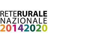 Link e recapiti utili